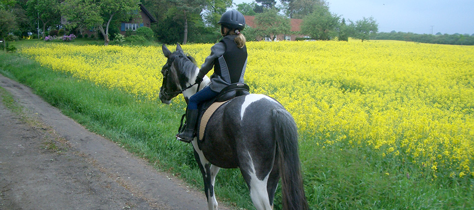 Unfall mit einem Pferd